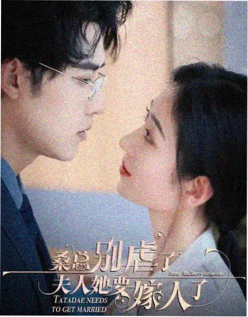 我的山与海 分集剧情